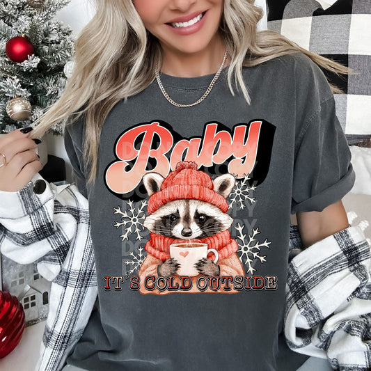 Baby It's Cold Outside Raccoon