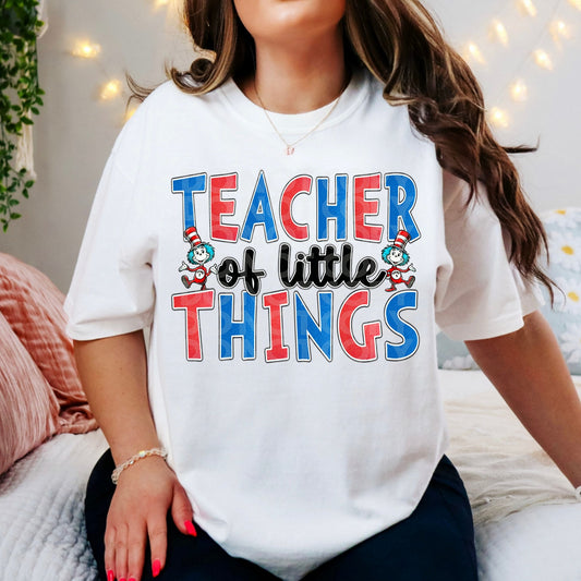 Teacher of Little Things